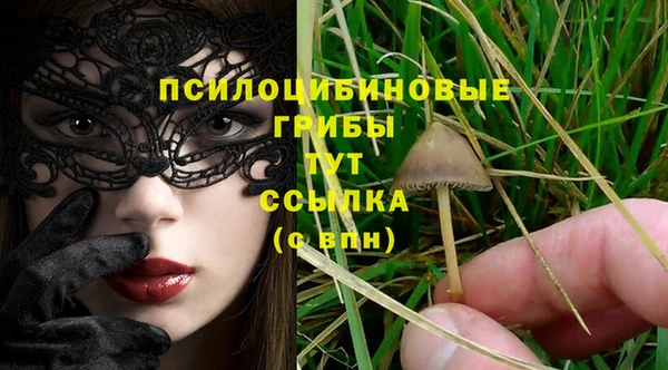 крисы Абинск