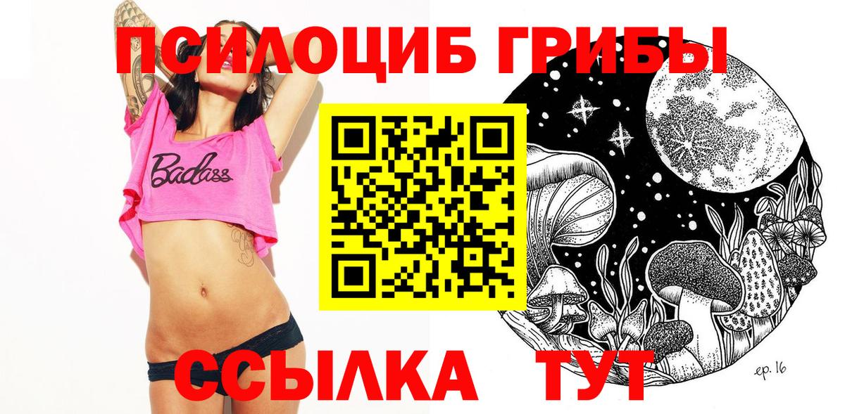 Псилоцибиновые грибы ЛСД  Вход с VPN  Фрязино  Псилоцибиновые грибы Psilocybe 