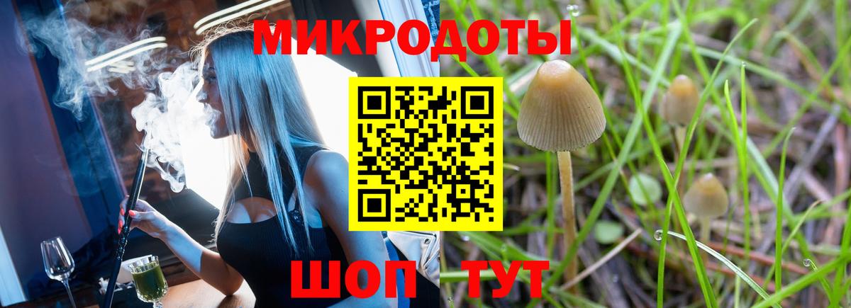 Галлюциногенные грибы MAGIC MUSHROOMS Фрязино